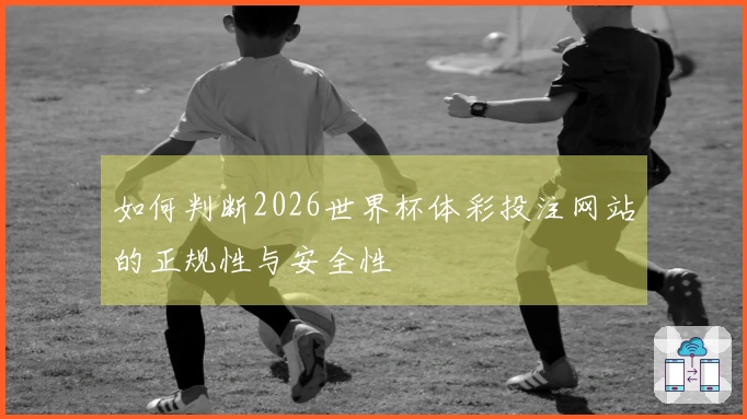 如何判断2026世界杯体彩投注网站的正规性与安全性