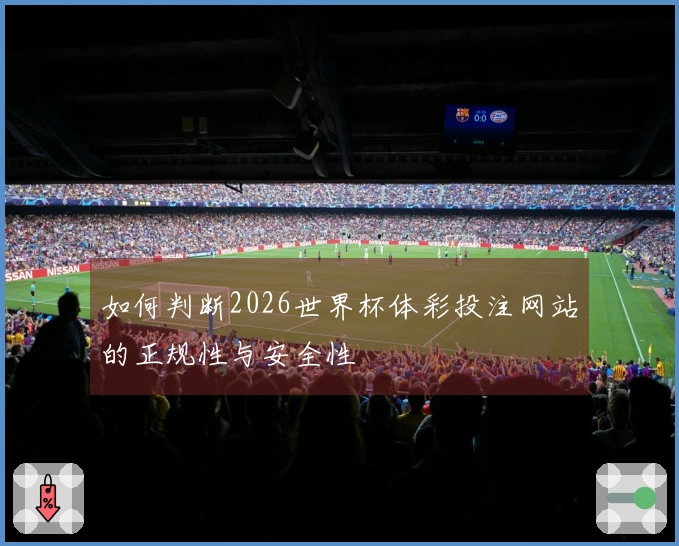如何判断2026世界杯体彩投注网站的正规性与安全性