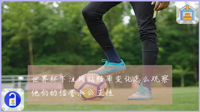 世界杯下注网站赔率变化怎么观察他们的信誉和公正性